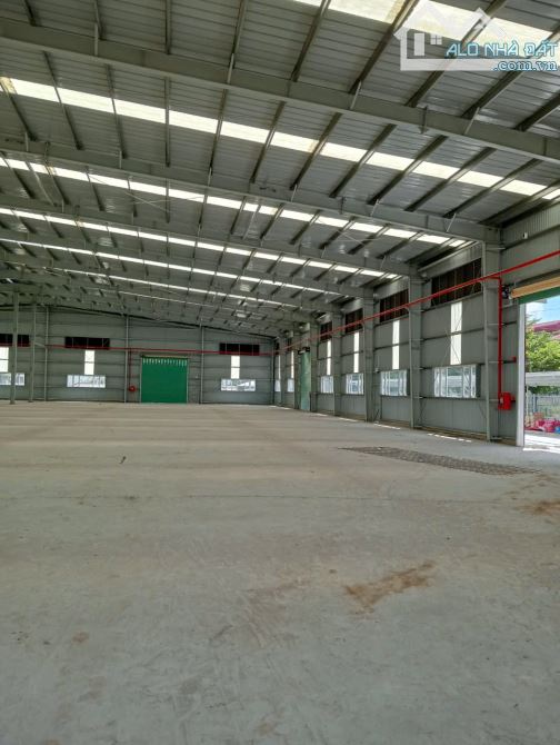 Cho thuê kho xưởng 3200m2, 3600m2, 4500m2, 7000m2 ngay KCN Đất Đổ 1, Bà Rịa Vũng Tàu. - 1