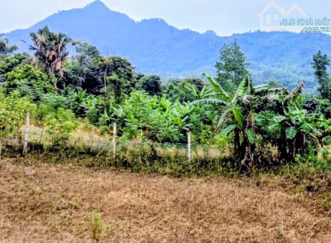 Đất đẹp Minh Quang, Ba Vì, 2010m, view đồng, gần chợ, 200m ra TL 415, chỉ 2.9tỷ - 1