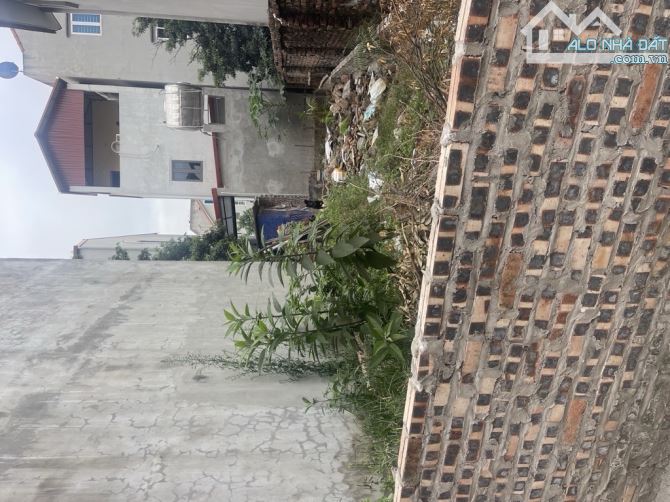Thanh khoản đất thổ cư trong ngõ 55m2 tại Đại Cát, Liên mạc - 3