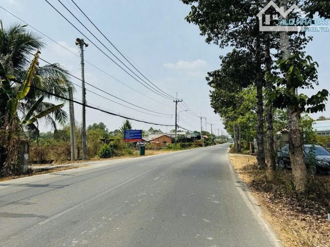 Đất bán mặt tiền đường Cây Trôm Mỹ Khánh xã Thái Mỹ 5.21x56 278m2 Full Thổ xây dựng tự do - 1