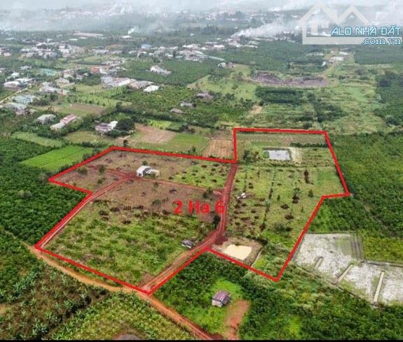 Chính chủ bán lô đất đẹp 26000m2 tại phường Lộc Phát, Bảo Lộc, Lâm Đồng - 1