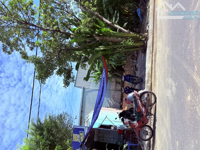 Bán đất Phan Văn Đáng khu dân cư Nam Cẩm Lệ, Hoà Xuân - 1