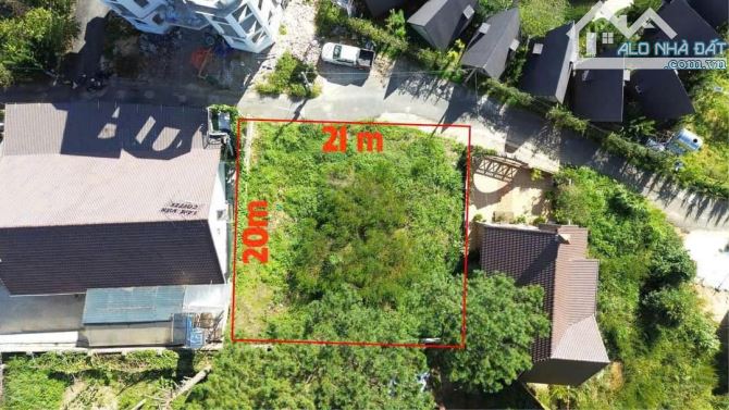 BÁN HAI LÔ ĐẤT  VIEW RỪNG THÔNG KHU VILLA BIỆT THỰ CỰC ĐẸP ĐÀ LẠT - 1