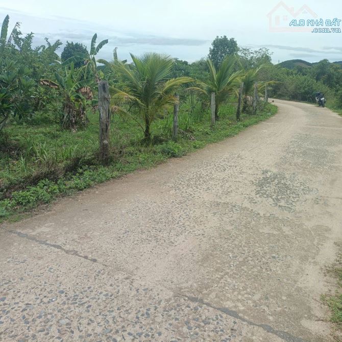 💥2000m2 Đất Diên Lâm (Thôn 5 Diên Đồng cũ) ngang 25m tách được 4 lô💥 - 1