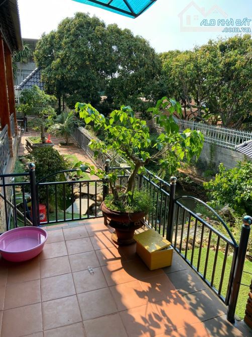 Nhà vườn villa mini trung tâm phố Gần Khu đấu Giá Trần Quý Cáp - Phường Tân Lập - BMT - 1