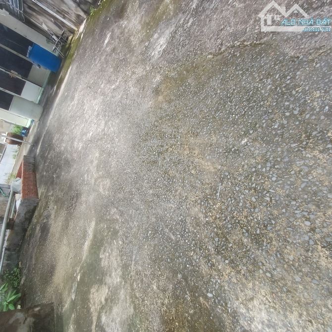🏠BÁN NHÀ TIỆN XÂY BIỆT THỰ + CHDV CAO CẤP - NGANG LỚN NỞ HẬU 12M - CHỈ 70 TR/M2 - Q7 - 1