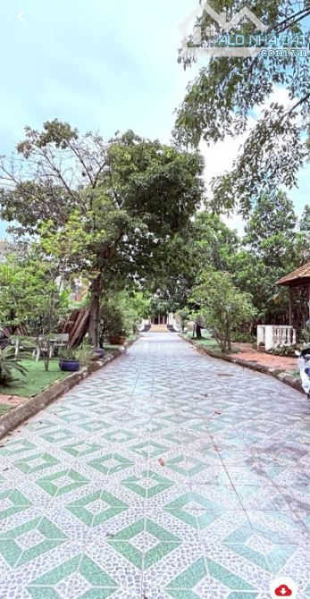 Biệt thự lớn 1200m2 full thổ cư, mặt tiền đường Huỳnh Thị Na, Hóc Môn. - 1