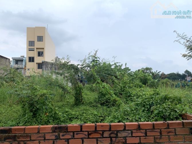 LÔ ĐẤT NỞ HẬU FULL THỔ CƯ - 250M2 - MẶT TIỀN KHU PHƯỚC THIỆN, LONG THẠNH MỸ - CHỈ 10 TỶ. - 1