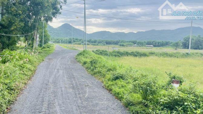 BÁN 802M2 ĐẤT PHƯỚC HẢI - KHU CAM PINH ĐỒNG GIÓ.VIEW NÚI MINH ĐẠM MÁT MẺ - 1