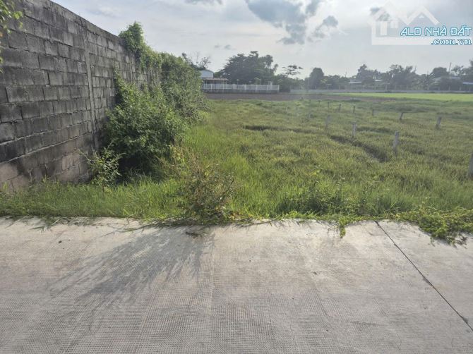 Bán đất đường bê tông 8 x 37m, giá 2 tỷ , thổ cư, Xã Hòa Khánh Tây, Đức Hòa, Long An. - 1