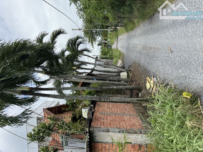 bán 100m2 đất Bình Chánh xe hơi trước đất giá 2tỷ980tr cách QL1a hơn 1km - 1
