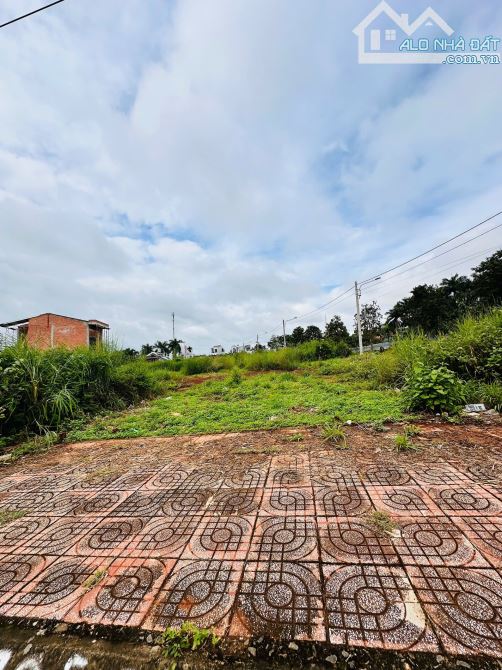 Đất Khu Đấu Giá Mới Nguyễn Hữu Thọ nối dài - 1
