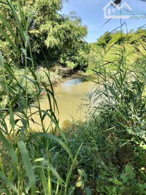 🌿 BÁN 3.8 SÀO ĐẤT ÔM SUỐI – P. KHÁNH XUÂN, TP. BMT 🌿 - 1