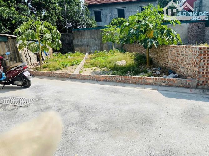 Chỉ 3 tỷ tròn, cô Hoa cần bán gấp mảnh đất ô tô 7 chỗ vào tận đất tại Kim Sơn- Gia Lâm - 1