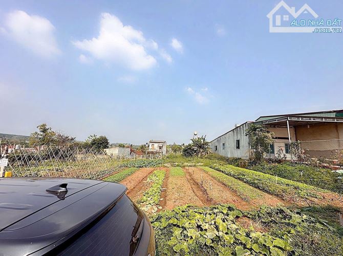 LÔ THỔ CƯ TÂN HOÀ - BMT - ĐAKLAK 1 Tỷ 050 triệu - 1