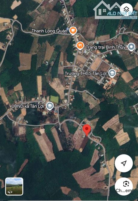 8200m2 đất ngay UBND xã Tân Lợi giá 2 tỉ - 1