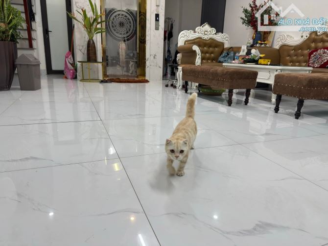 7 tầng thang máy full nội thất, ngõ thông 20m ra Phố Tứ Liên, Apartment, 52m2. Giá 17.2 tỷ - 12