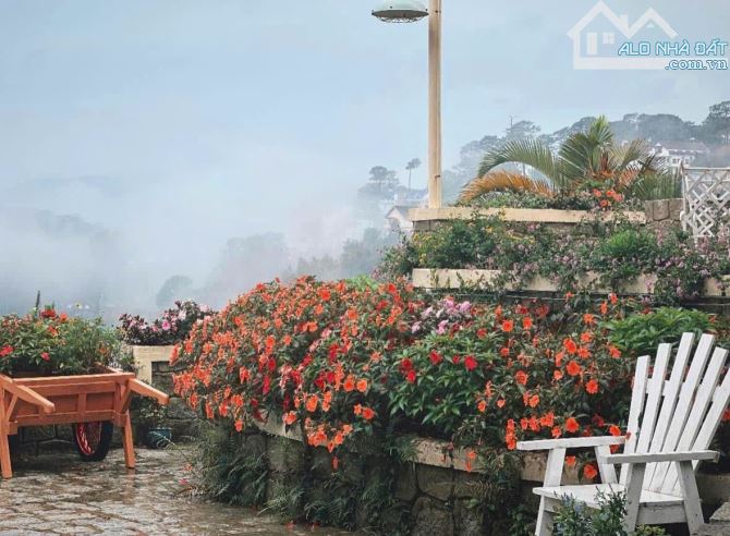 Bán khách sạn nghĩ dưỡng, trái tim của Phố Cổ Đà Lạt. 1077m² - 85tr/m² Đặng Thái Thân, P3 - 13