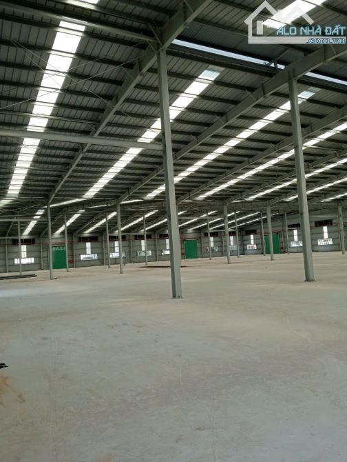 Cho thuê kho xưởng 3200m2, 3600m2, 4500m2, 7000m2 ngay KCN Đất Đổ 1, Bà Rịa Vũng Tàu. - 2