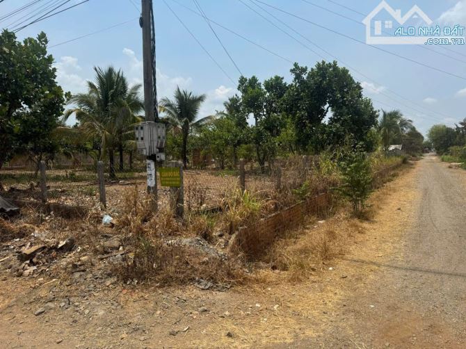 Chỉ 3,6 TỶ có ngay 💥 🌟 ĐẤT 2 MẶT TIỀN HẺM TỈNH LỘ – THÔN 11, XÃ EABAR - 2