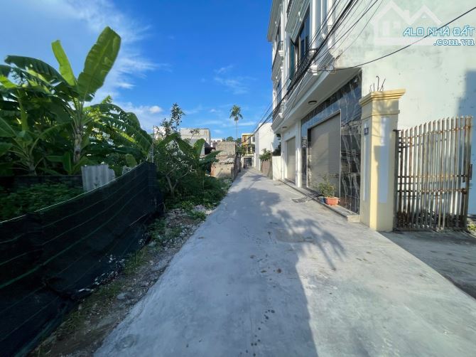 🌳Bán 69m2 đất Tê Chử - An Hải(Đồng Thái cũ) - An Dương - 2