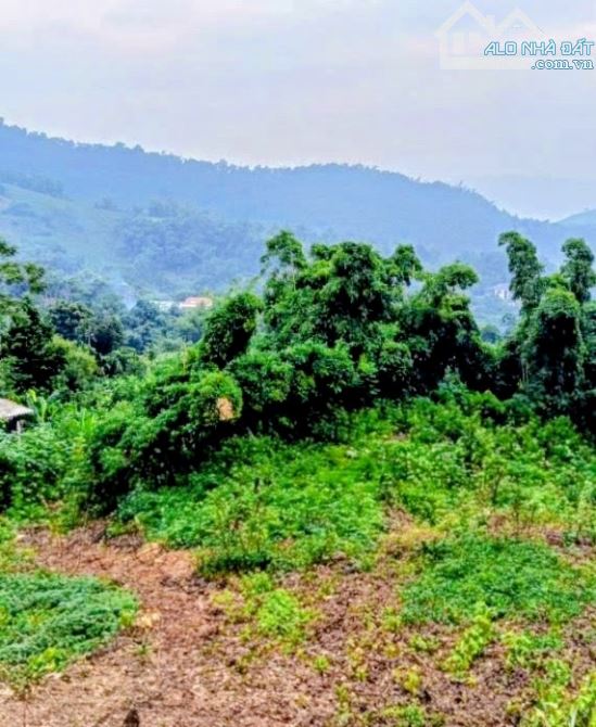 Đất đẹp Minh Quang, Ba Vì, 2010m, view đồng, gần chợ, 200m ra TL 415, chỉ 2.9tỷ - 2