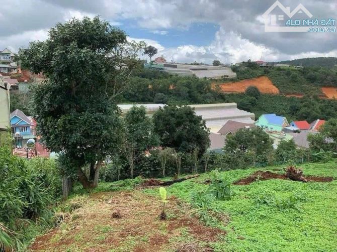 Lô đất view đẹp tại Xuân Trường - đà lạt - 2