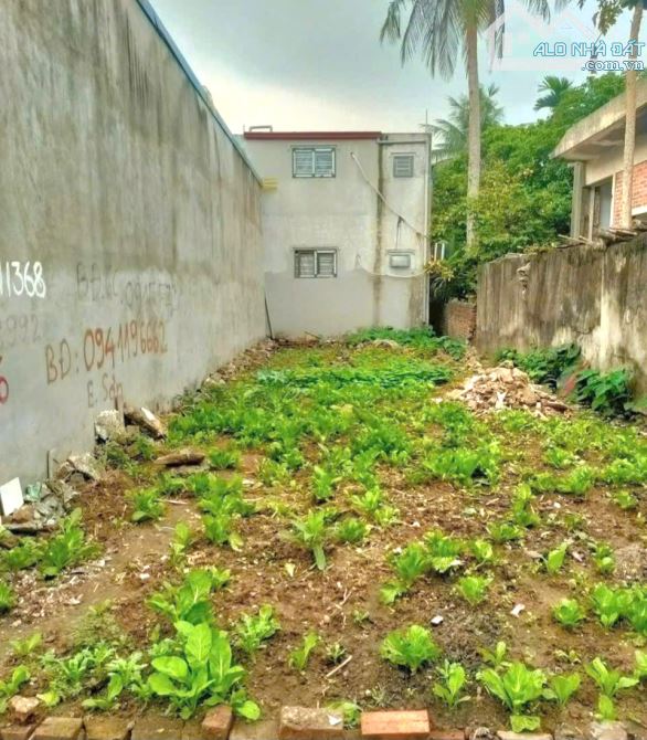 BÁN ĐẤT 72m² CHỈ 1,99TY Ô TÔ ĐỖ CỬA – CÁCH HẠ, NAM SƠN, AN DƯƠNG - 2