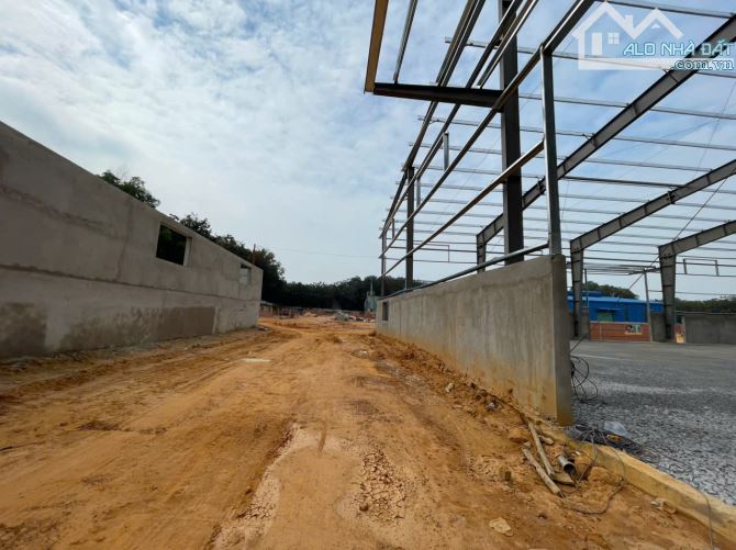 Cho Thuê 3.500m2 – 5.000m2 – 18.500m2 Nhà Xưởng Bến Cát BD Giấy Tờ Đầy Đủ - 2