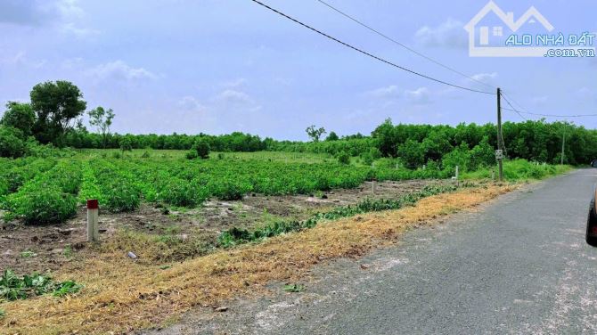 12m mặt tiền nhựa Xã Láng Dài 1000m2 cần tiềm bán nhanh 2ty4 - 2