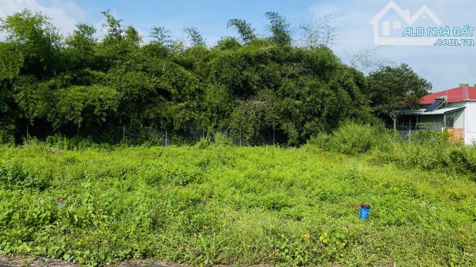 Bán lô đất gần ql55 , gần kcn đất đỏ xã phước long thọ ,long đất BRVT - 2