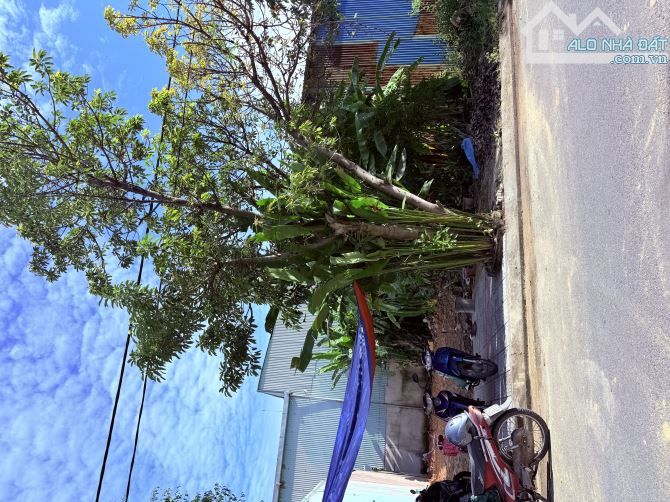 Bán đất Phan Văn Đáng khu dân cư Nam Cẩm Lệ, Hoà Xuân - 2