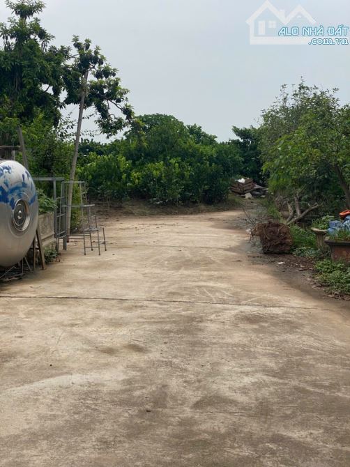 🏆🏆🏆 Chính chủ gửi bán 87m2 đấu giá Đan Kim Liên Nghĩa Văn Giang. Đối diện trường THPT D - 2