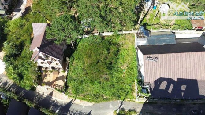 BÁN HAI LÔ ĐẤT  VIEW RỪNG THÔNG KHU VILLA BIỆT THỰ CỰC ĐẸP ĐÀ LẠT - 2