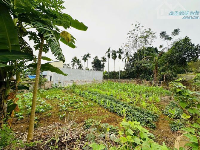 LÔ ĐẤT 500m2 FULL THỔ CƯ - SÁT KCN - LÔ GÓC 2 MẶT TIỀN - PHÂN LÔ TỐT - GIÁ 2,x TỶ - 2
