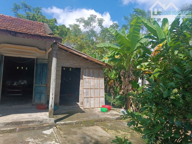 BÁN ĐẤT ĐẸP – VỊ TRÍ ĐẮC ĐỊA TẠI NAM TRẠCH, LỘC AN, HUẾ