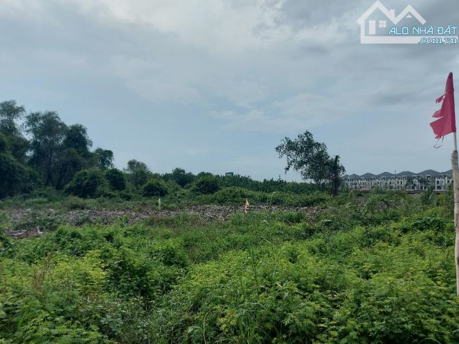 Bán Gấp 6300m2 Đất CLN  Mặt Tiền Đặng Thanh Hiếu, Q.9, SHR, Giá Tốt Nhất Thị Trường! Chỉ - 2