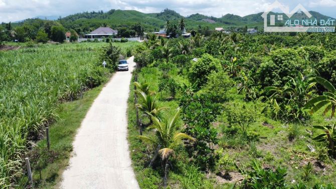 💥2000m2 Đất Diên Lâm (Thôn 5 Diên Đồng cũ) ngang 25m tách được 4 lô💥 - 2