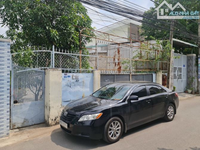 Bán đất khu cư xá Phúc Hải, P. Tân Phong,  Biên Hòa: 9 x 31, giá 10,5 tỷ - 2