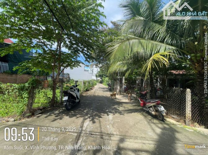 đát thổ cư góc 2 mặt tiền giá rẻ . diện tích 293 m2 giá 2 tỷ 800 , đưởng ô tô thông thoáng - 2