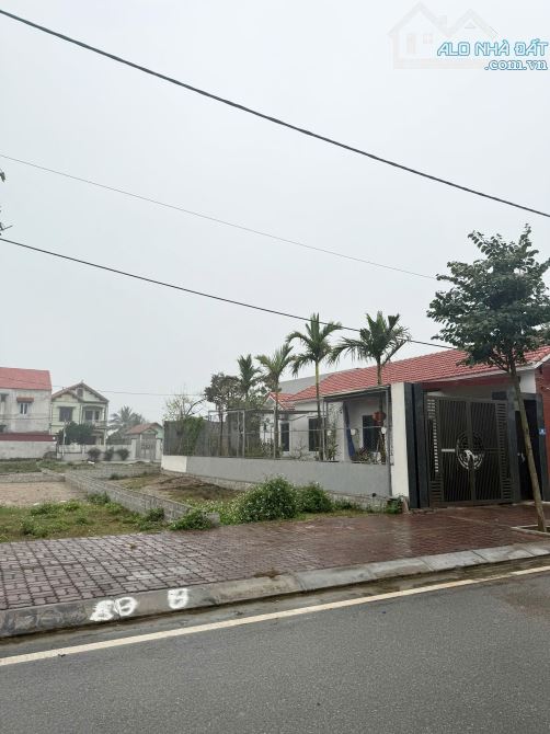 Bán đất đấu giá Ân Thi Hưng Yên vỉa hè 5 mét giá đầu tư. - 2
