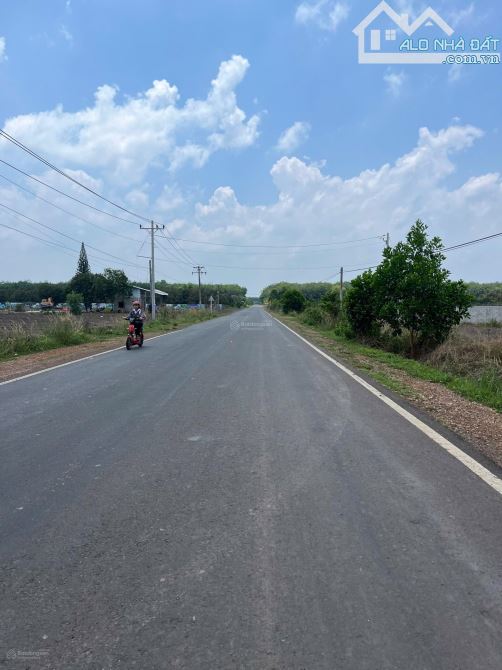 Cần bán gấp lô đất ngay QL14, Bù Đăng diện tích 250m2, giá 1,4 tỷ, SHR, thổ cư - 2