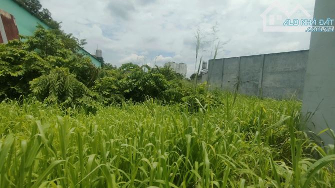 ✨ ĐẤT VÀNH ĐAI XÃ LONG THÀNH – 962M – 80 THỔ CƯ - 15 TỈ 050 – ĐẤT ĐẸP KHÓ CƯỠNG - 2