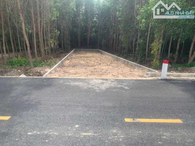 🔥 XUẤT HIỆN LÔ ĐẤT CỰC RẺ – GẦN TRUNG TÂM LOGISTICS LỚN NHẤT VIỆT NAM – HÀNG NÉT CÓ 1 KHÔ - 2