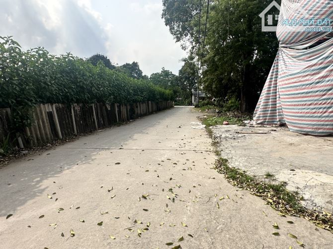 Lô góc 3 mặt thoáng – Trưng Trắc - Văn Lâm – 56,8m² – ô tô vào – ngõ thông – 3 tỷ - 2