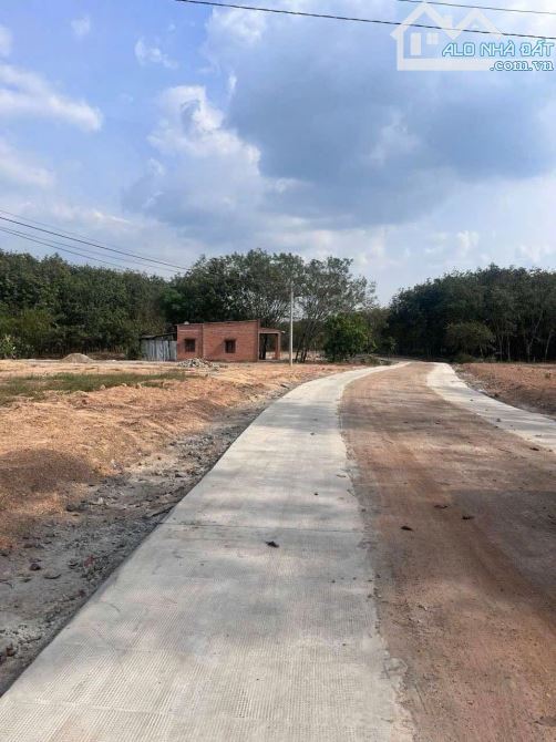 8200m2 đất ngay UBND xã Tân Lợi giá 2 tỉ - 2