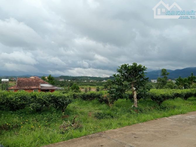 2.5 sào Bảo Lộc, hơn 100m mặt đường betong. - 3