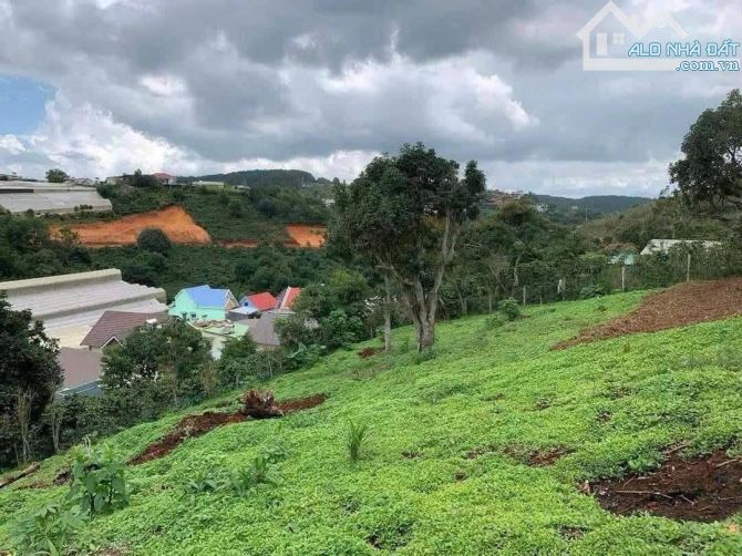 Lô đất view đẹp tại Xuân Trường - đà lạt - 3