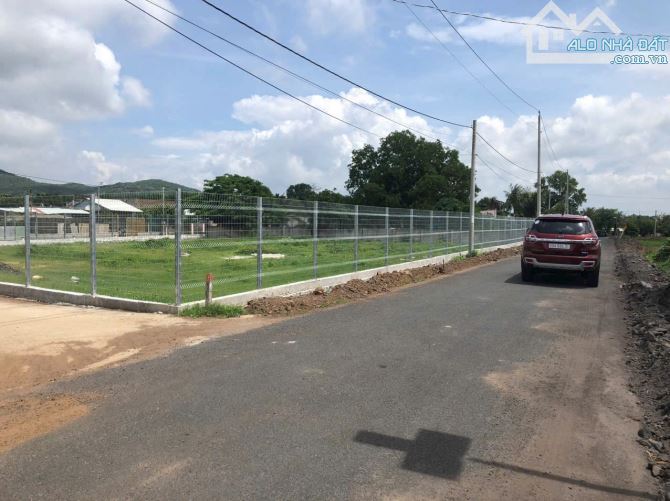 1400M2 VIEW NÚI MINH ĐẠM SÁT HỒ BÚT THUYỀM LÔ GÓC 3 MẶT TIỀN XÃ PHƯỚC HẢI-- TPHCM - 3