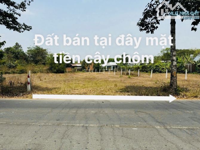 Đất bán mặt tiền đường Cây Trôm Mỹ Khánh xã Thái Mỹ 5.21x56 278m2 Full Thổ xây dựng tự do - 3